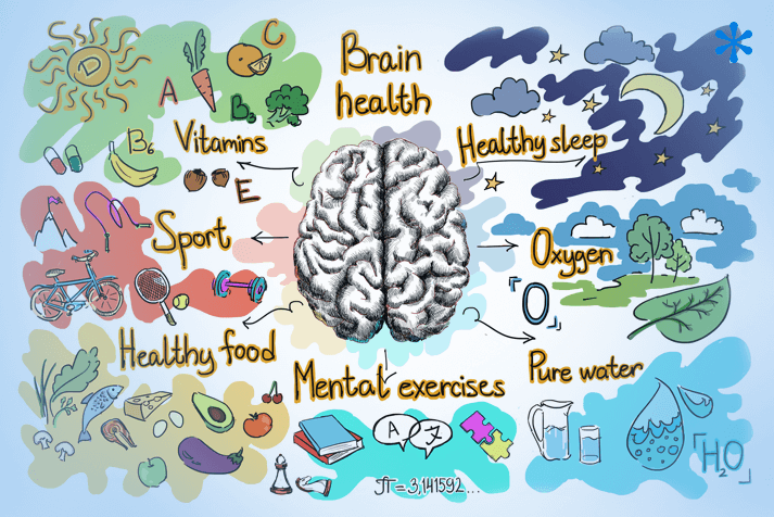 Comment prendre soin de sa matière grise ?